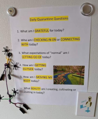 Daily Quarantine Questions